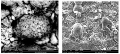 SEM image of surfaces after exposure to simulated ash environment after 800 hours (left – uncoated, right -coated).