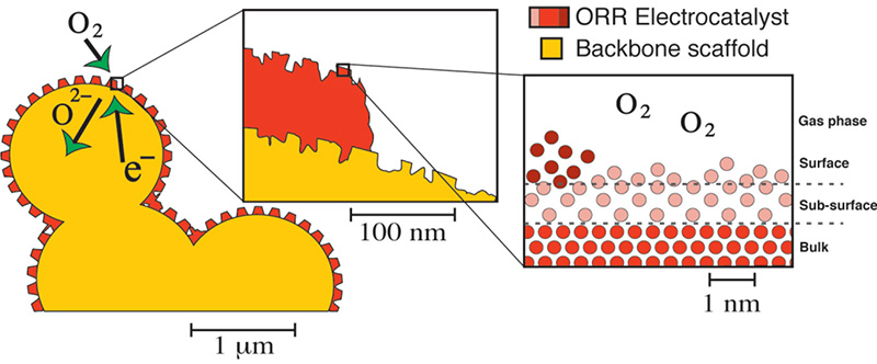 A schematic drawing of a heterostructured SOFC cathode depicting the variation in chemistry and structure going from the micro- to the nanoscale. At the nanometer length scale, the solid-gas interface is very different from the bulk in terms of structure, composition, and electronic structure. The backbone scaffold conducts oxygen ions and electrons to and from the electrolyte and external circuit respectively, and the electrocatalyst facilitates the surface reaction.