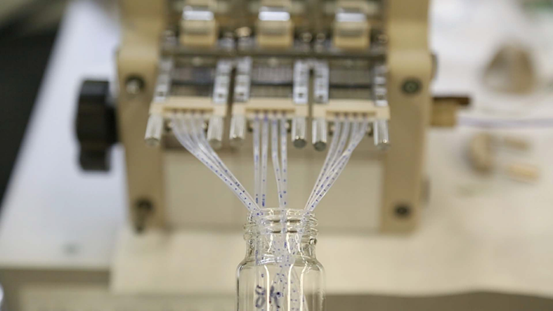 Microcapsule production scaled up by parallelization