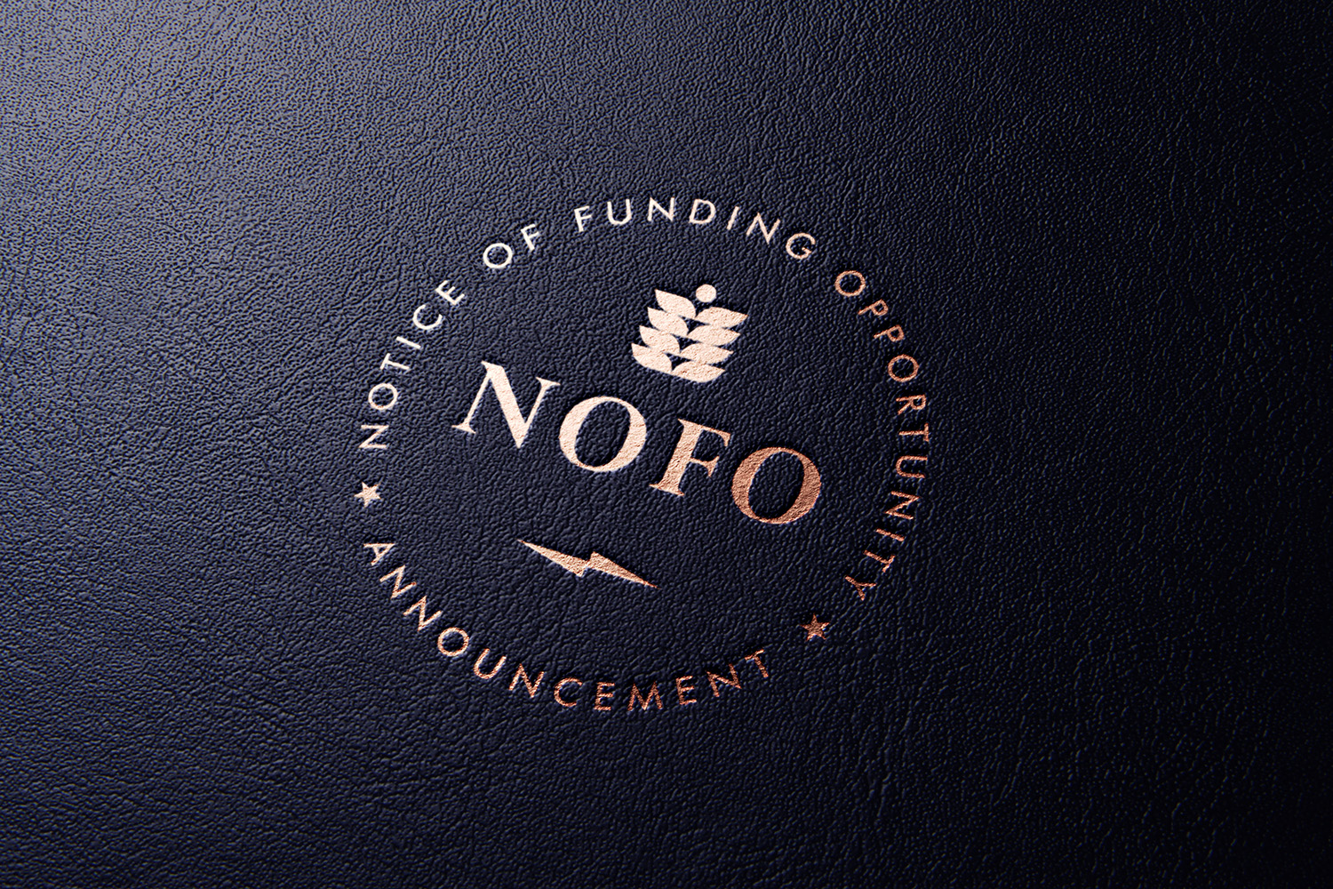 Notice of Funding Opportunity 