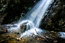 Water Management