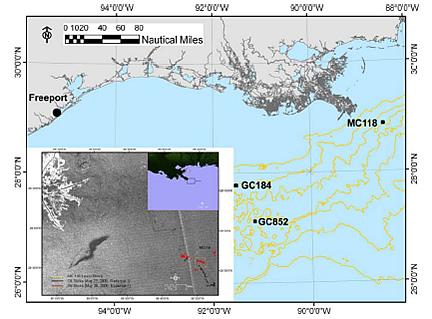 Proposed study sites GC184 (540m), GC852 (1400m), MC118 (880m) and port of departure (Freeport, TX).  Inset lower left shows oil slicks floating over MC118 site.