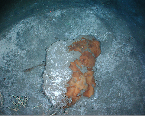 A small outcrop of oil-stained gas hydrate on the seafloor of the Gulf of Mexico at 550 m depth (width of image is approx. 2 m). Such deposits are subject to dissolution and off-gassing as the hydrate decomposes