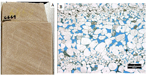 A - Typical upper unit of the Navajo Sandstone, from the Federal No. 17-3 well (slabbed core from 6669 feet), Covenant field, showing cross-bedding in fine-grained sandstone deposited in a dune environment. B - Representative photomicrograph (plane light) from the lower unit of the Navajo Sandstone showing bimodal distribution of subangular to subrounded quartz sand and silt. Note a few fractured and corroded K-feldspar grains are present. Blue space is intergranular porosity. Federal No. 17-3 well, 6773 feet, porosity = 14.8 percent, permeability = 149 millidarcies based on core-plug analysis.