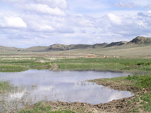 Wetland site created by surface discharge of CBNG product water.