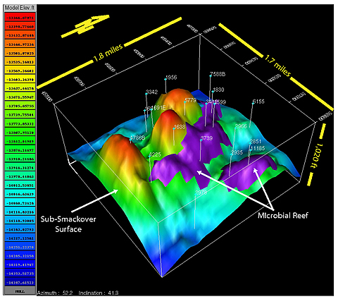 High-relief paleohigh and associated microbial reef facies model (Vocation field).