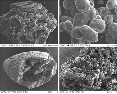 Scanning electron micrograph photographs of various shot-coke types.