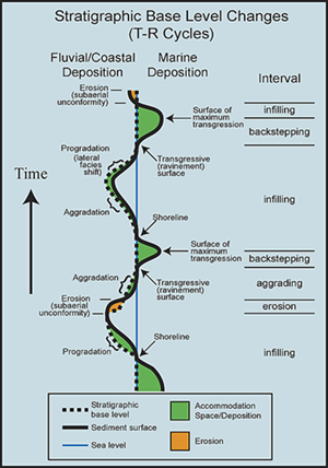 Diagram illustrating conceptual model of factors affecting strata architecture.