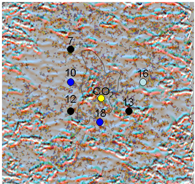 Curvature lineaments and Monitor 6 (July 2005) CO2 anomaly outline using parallel progressive blanking (PPB) overlaid on seismic curvature lineaments. Preferential CO2 flow direction is affected by the lineament trends, especially at the northern tip of the anomaly. Wells 7, 12, and 13 are production wells, 10 and 18 are water injection wells, and 16 is an observation well.