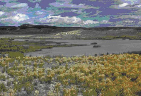 Soils exposed in sparsely vegetated areas of the Colorado Plateau