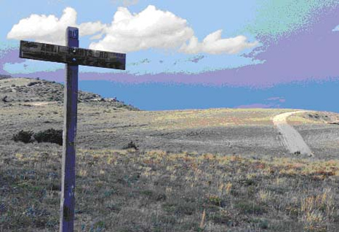 Typical vegetation of the arid uplands of the Colorado Plateau.