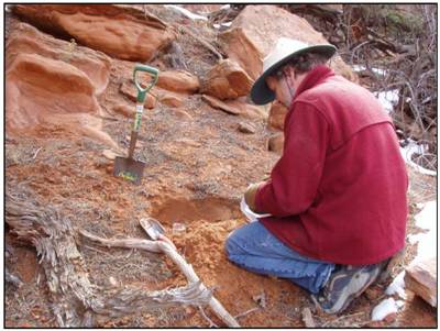 Surface geochemical sample collection, Lisbon Field.