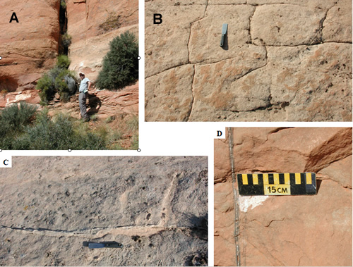 Examples of joints in the Lisbon field area. (A) Large, probable region-scale joint in the Wingate Sandstone over the gas cap. (B) Blocky or rectalinear joint sets in the Navajo Sandstone over the water leg. (C) Thin silica vein in a joint over the water leg. (D) Very thin calcite vein with a halo of possible iron/manganese-bearing minerals over the gas cap. A and D are near the Lisbon No. C-910 well (SW1/4SE1/4 section 10, T. 30 S., R. 24 E., SLBL&M); B and C are near the No. 21-4 Federal well (NW1/4NW1/4 section 21, T. 30 S., R. 24 E., SLBL&M).