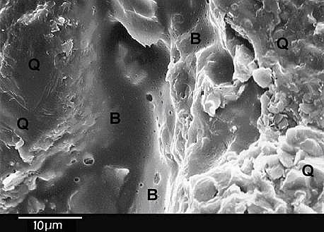 Polysaccharide biofilm (B) produced by bacteria during the MPPM procedure completely filling porosity between quartz grains (Q).