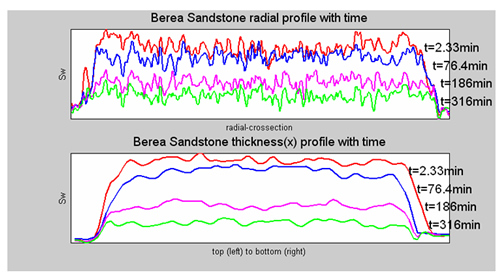 Saturation profile in radial and x directions.