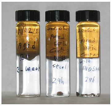 Two-phase (Soltrol 130/water) separation tests showing the effectiveness of surfactants in altering the wettability of crude oil-aged Bethany Falls (BF) rock exposed to surfactant solutions for 24 hours (left: No surfactant; center: STEOL CS-330; right: surfactin).