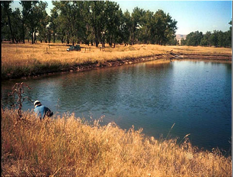 Water infiltration impoundment.