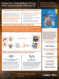 Catalytic Conversion of CO2 into Value-Added Products