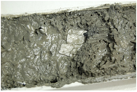 Gas hydrate, center core, is ~3cm X ~1.5cm X ~2mm. Note “spongy” texture of very fine-grained sediments where gas hydrate has dissociated.