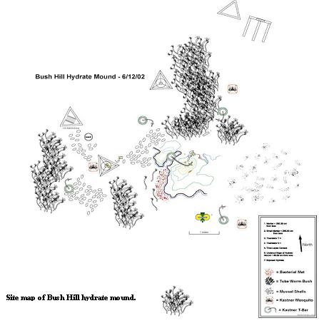 The stability and response of shallow gas hydrates to temperature and chemical perturbations will be monitored in situ, and localized seafloor and water column environmental impacts of hydrate formation and dissociation characterized.