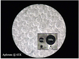 Photomicrographs of aphrons at ambient pressure and temperature, in a transparent mud formulation