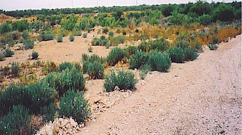 Low-impact drilling site at the Pecos Research and Testing Center. Components of the Environmental Drilling system, including modules of the platform and low-impact access roads, will be tested here.