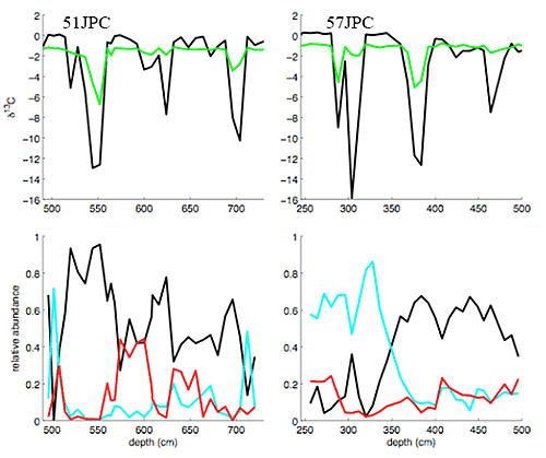 These changes in benthic foraminifer species distribution occur in the same depths as the occurrence of authigenic minerals, supporting the idea that the sulfate-methane transition zone was at the seafloor, altering the habitat of the benthic foraminifera while the authigenic minerals were emplaced.