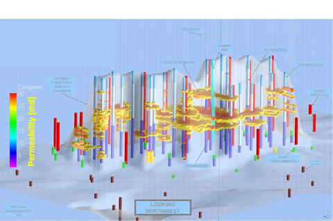 Visualization of a Belle River Mills reef showing core permeability voxels >25md (green) and >13md (red).