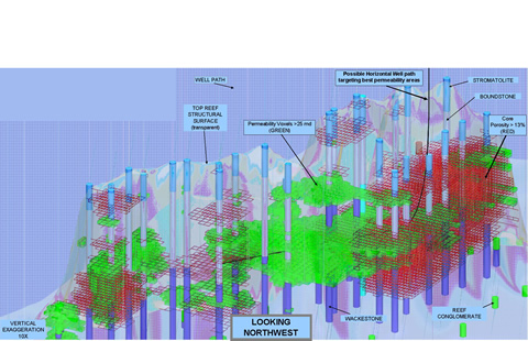 Visualization of a Belle River Mills reef showing core permeability voxels.