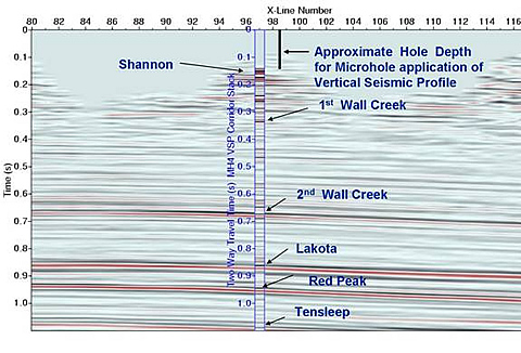 3-D seismic cross-section, Teapot Dome oilfield, Natrona County, WY.