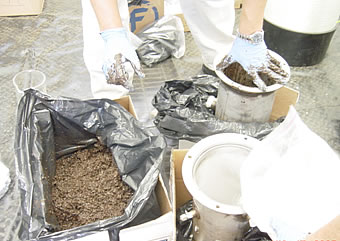 Packing biomass made from potting soil into VPB reactor.