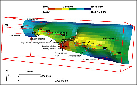 3-D geologic model of Womack Hill field.