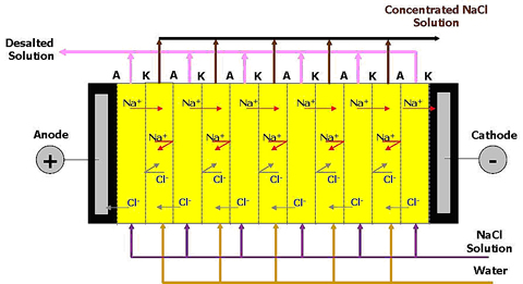 Schematic of the electrodialysis stack.