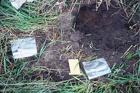 Surface soil gas and microbial samples for geochemical analysis were collected from small, shallow pits.