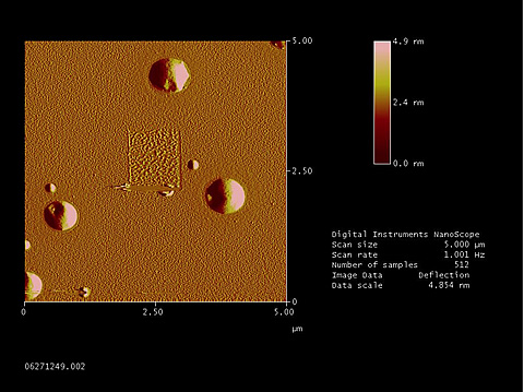 AFM image of a mica surface after exposure to an SBM emulsifier. The surfactant rearranges but cannot be removed by scraping (as shown in the center).