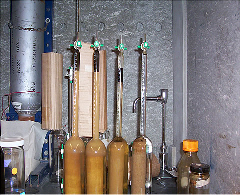 Spontaneous imbibition with different surfactant brines (about 58% OOIP). The sample on the far right has no imbibition because of the absence of surfactants.