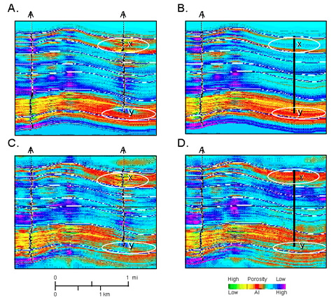 3-D seismic inversion provides excellent control on porosity distribution where well logs are absent or of poor quality. Blind testing demonstrates predictive ability of 3-D seismic in areas where wells are absent. When one well is removed, the wireline log model (A&B) predicts too little porosity at x and too much at y. The inversion model (C&D) does a much better job of defining true porosity in both zones.