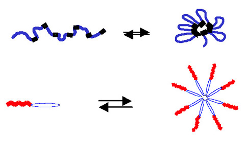 Conceptual behavior of responsive a) unimeric and b) multimeric polymers.