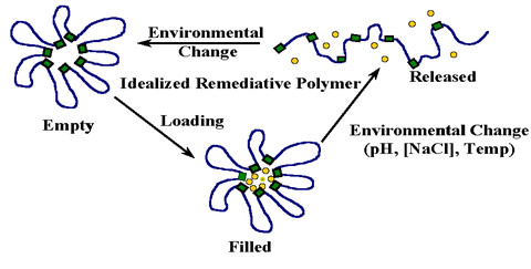 Outline of how unimolecular micelles will entrap and release oil.