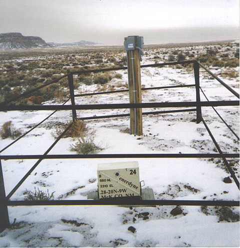 Typical well surface equipment for a cable-suspended submersible pump system.