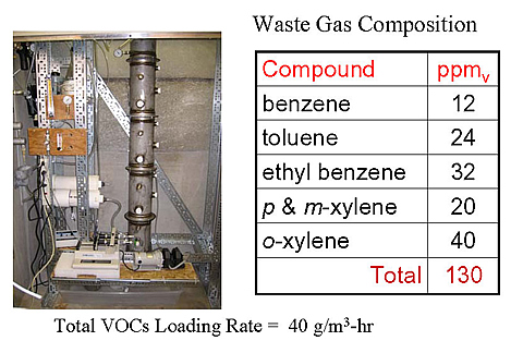 Analysis of waste gas composition in the vapor-phase bioreactor.