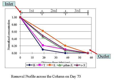 Removal profile across the column on day 73.