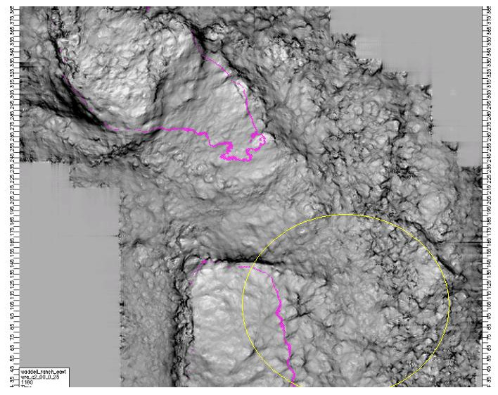 Time slice through the Most-Positive curvature volume within the Devonian interval of the West Texas 3-D seismic data.