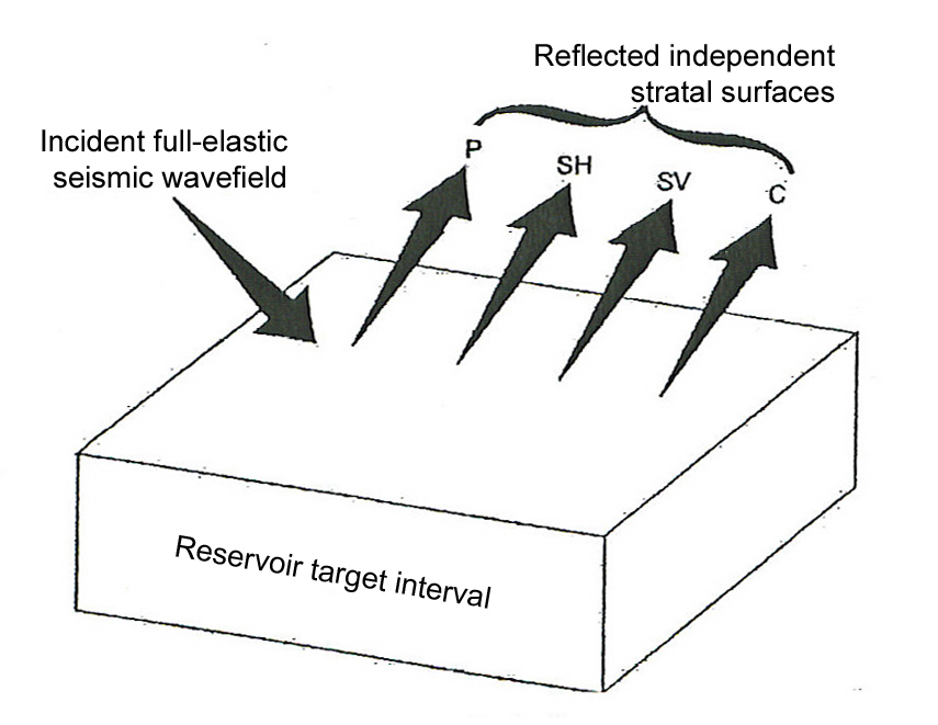 Comparison of conventional seismic stratigraphy and elastic-wavefield seismic stratigraphy. Conventional seismic stratigraphy utilizes only P-wave mode. Elastic-wavefield seismic stratigraphy utilizes all elastic modes, P, SH, SV, and C.