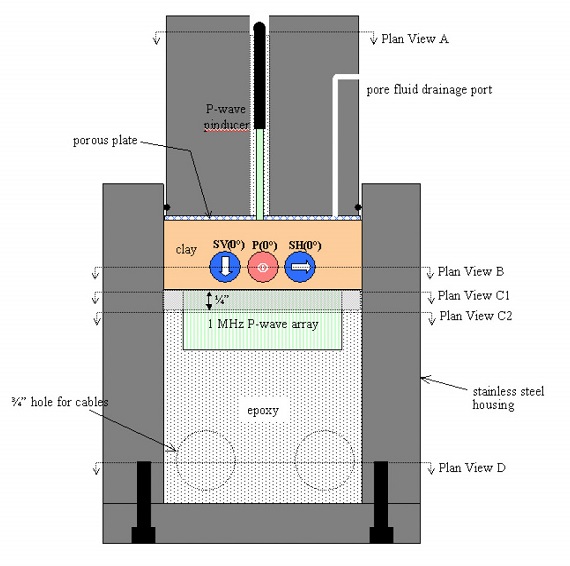 A cross section of the ultrasonic phased-array compaction cell showing the locations of the P-wave phased array and pinducer.