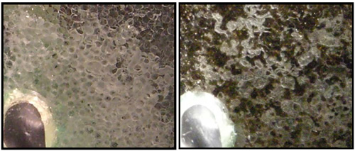 Hydrate formation in wetting and non-wetting glass bead bed