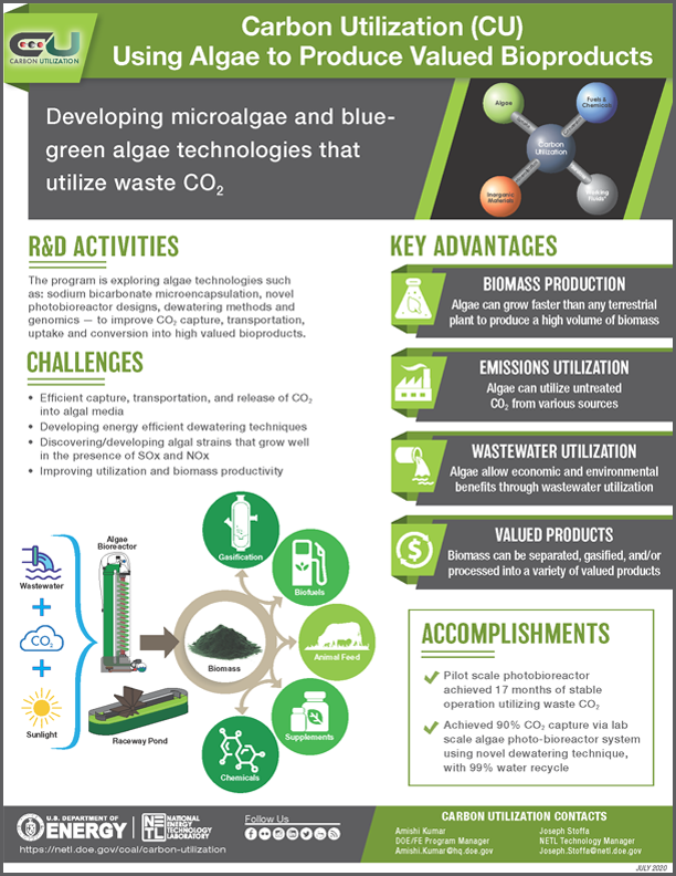 Carbon Utilization (CU) Using Algae to Produce Valued Bioproducts