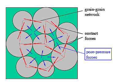 Conceptual picture of the fluid-solid interaction model at the pore scale