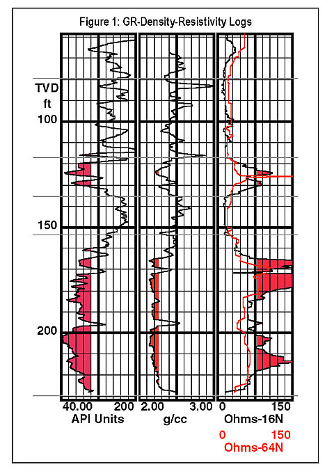 Typical log showing Blue Jacket and Warner sandstones.