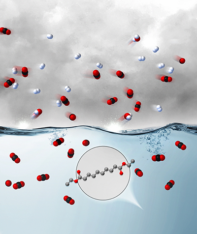 Hydrophobic Alkyl-Ester Physical Solvents for CO2 Removal from H2 Produced from Synthesis Gas